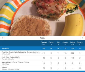 A meal sample - with the log from MyFitnessPal with the nutrition info.